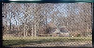 DSC_8946-web