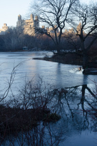 DSC_9193-web