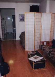 Read more about the article NYC Apartment