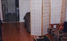 NYC Apartment