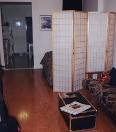 NYC Apartment