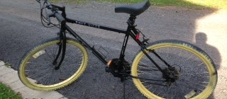 Updating an old bicycle with chalkboard paint