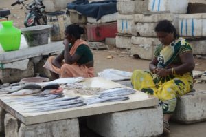 Read more about the article Chennai India best travel sights